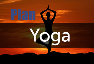 PYT- Plan Yoga Teacher